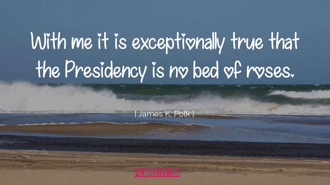 Bed Of Roses quotes by James K. Polk