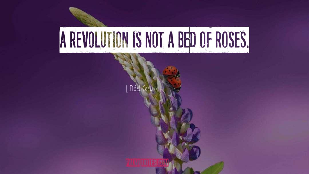 Bed Of Roses quotes by Fidel Castro