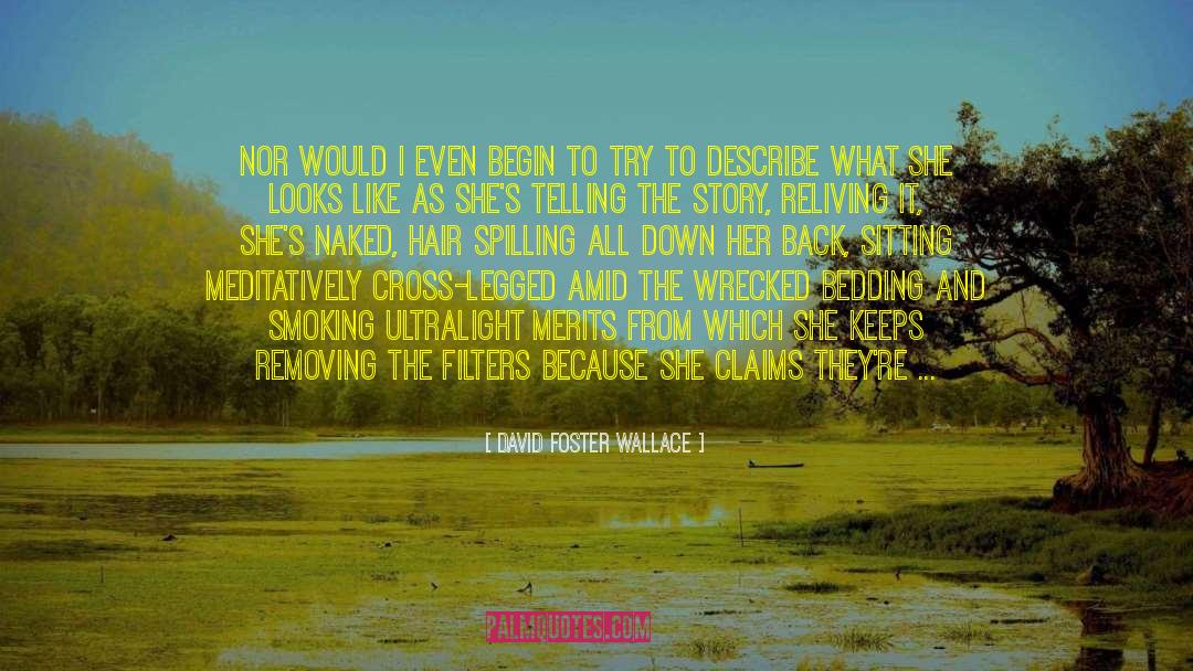Bedding quotes by David Foster Wallace
