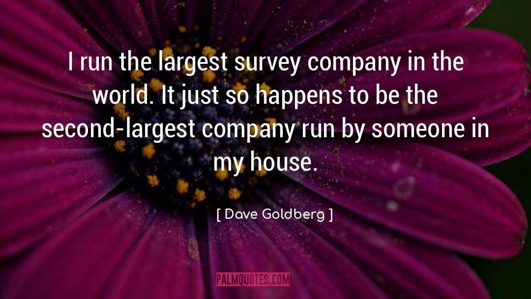 Bederson And Company quotes by Dave Goldberg