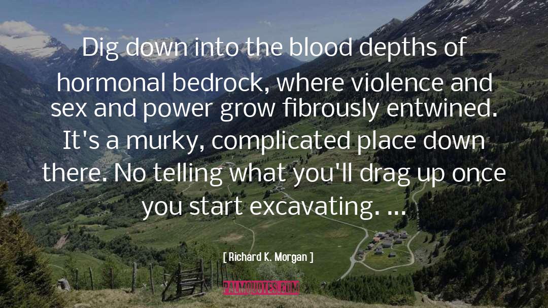 Bedrock quotes by Richard K. Morgan