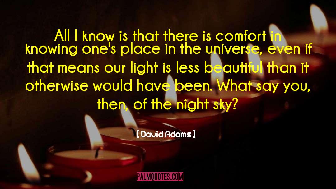 Bedroom Night Sky quotes by David Adams