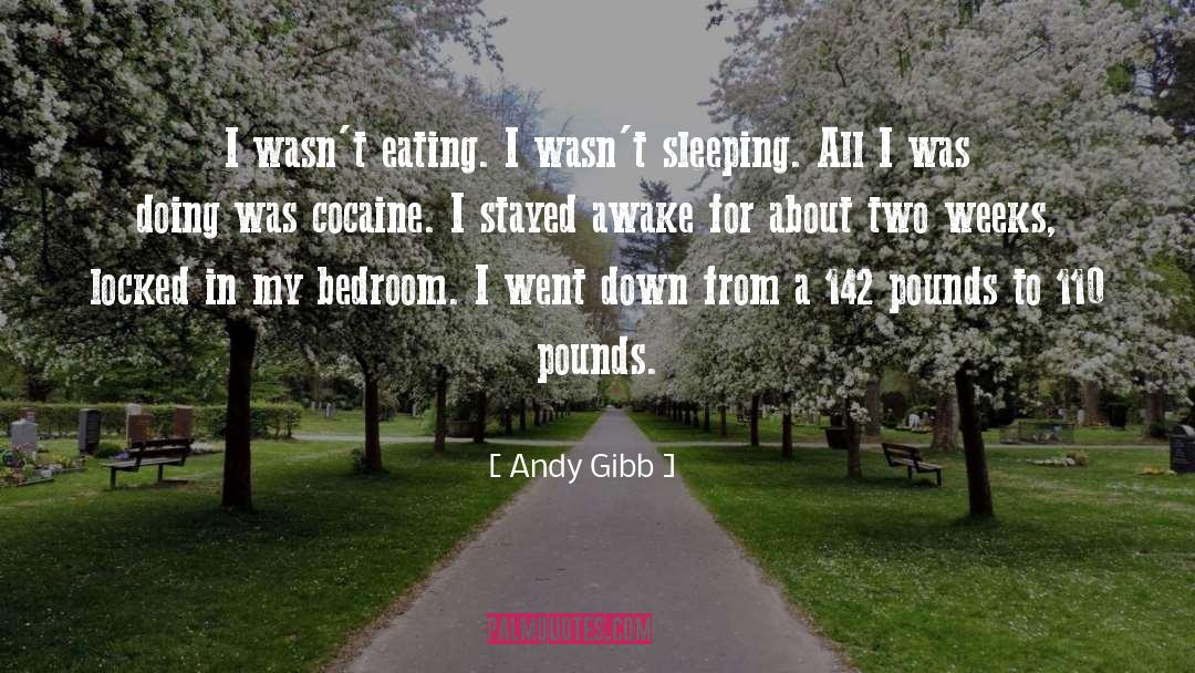 Bedroom quotes by Andy Gibb