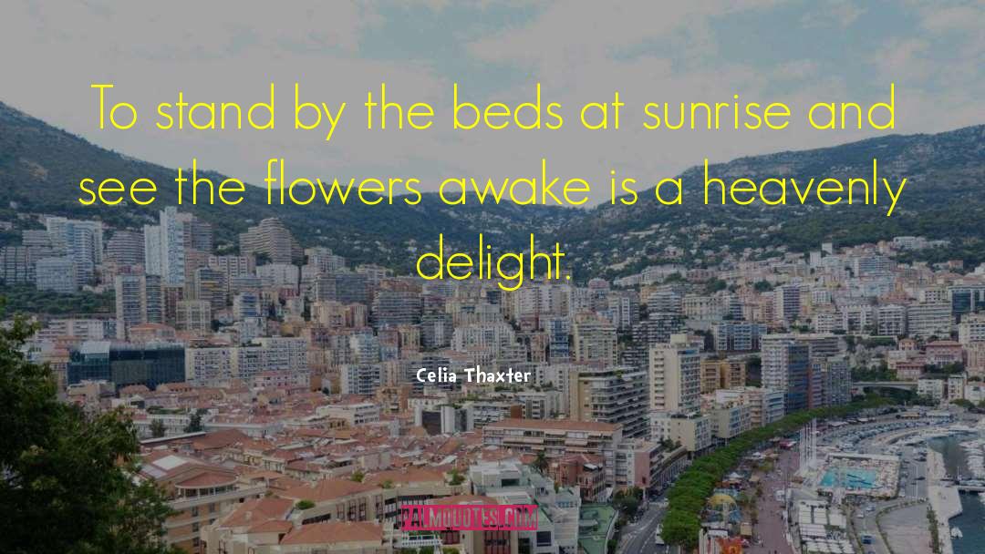 Beds quotes by Celia Thaxter