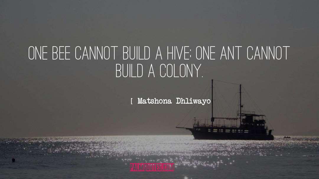 Bee Hives quotes by Matshona Dhliwayo
