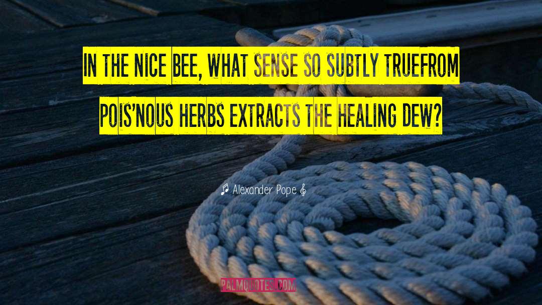 Bee Hives quotes by Alexander Pope