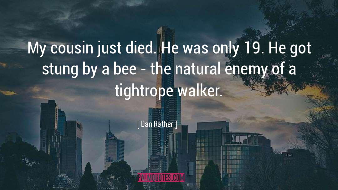 Bee quotes by Dan Rather