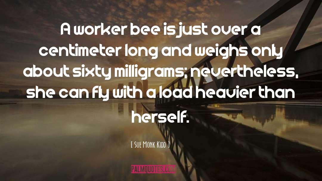 Bee quotes by Sue Monk Kidd