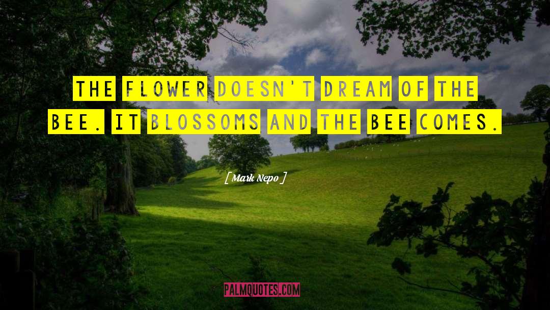 Bee quotes by Mark Nepo