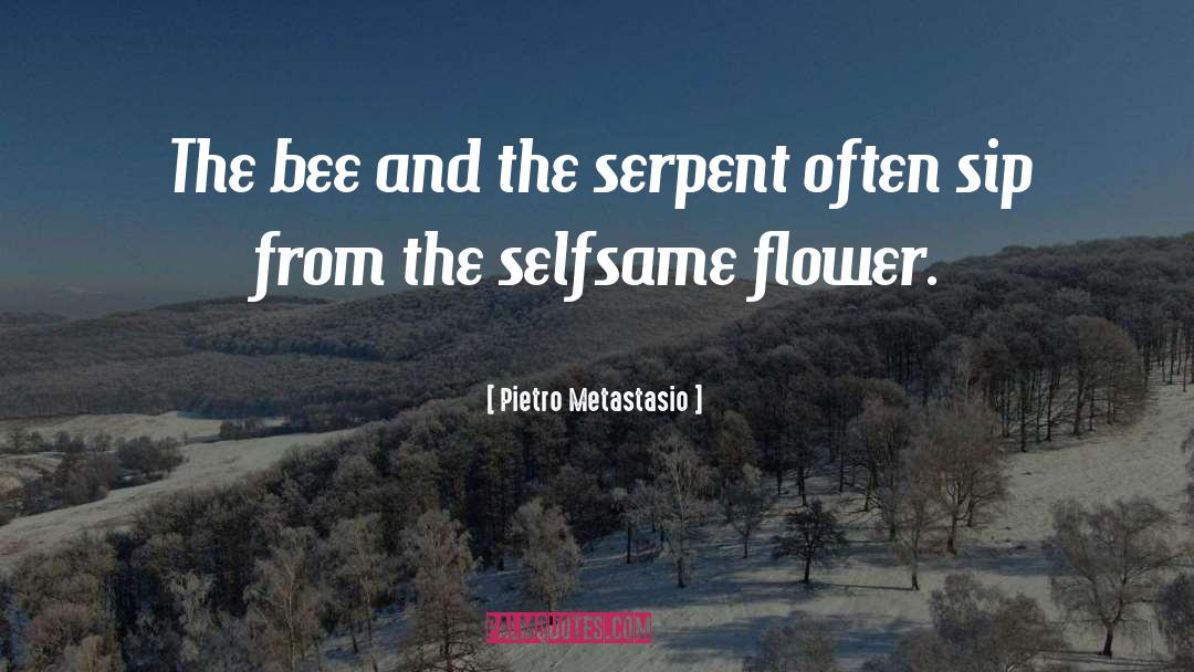 Bee quotes by Pietro Metastasio