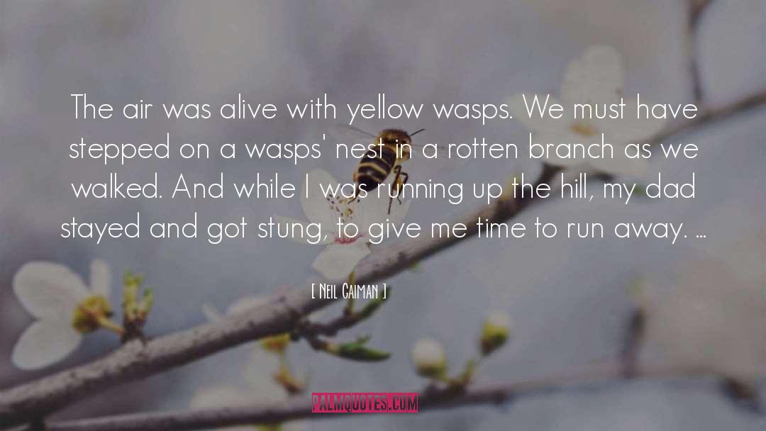 Bee Stung quotes by Neil Gaiman