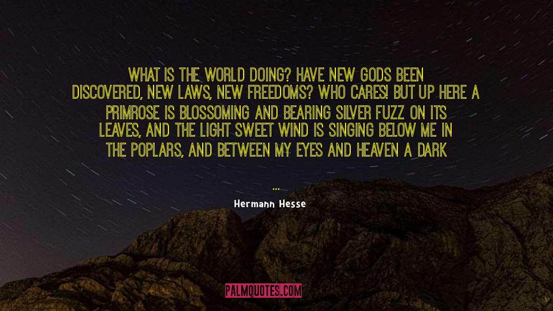 Bee Stung quotes by Hermann Hesse