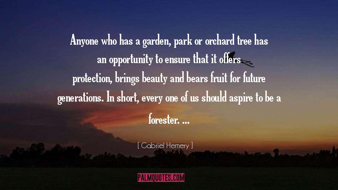 Beech Tree quotes by Gabriel Hemery