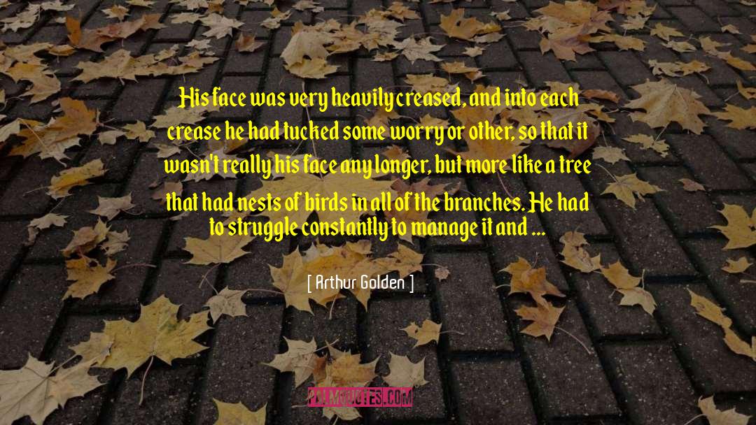 Beech Tree quotes by Arthur Golden