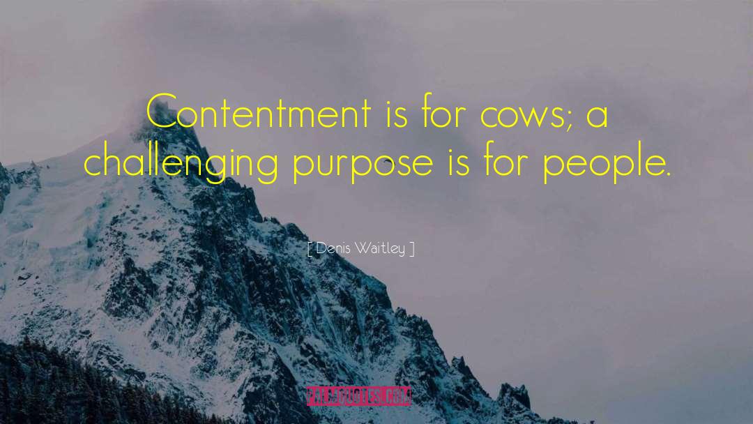 Beef Cows quotes by Denis Waitley