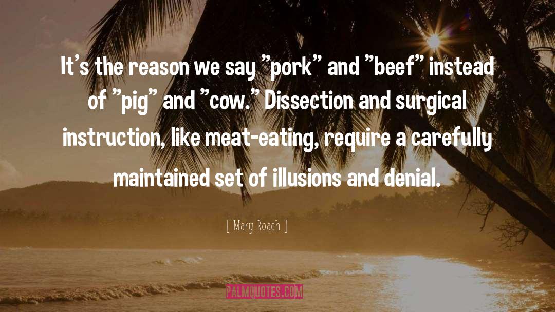 Beef quotes by Mary Roach