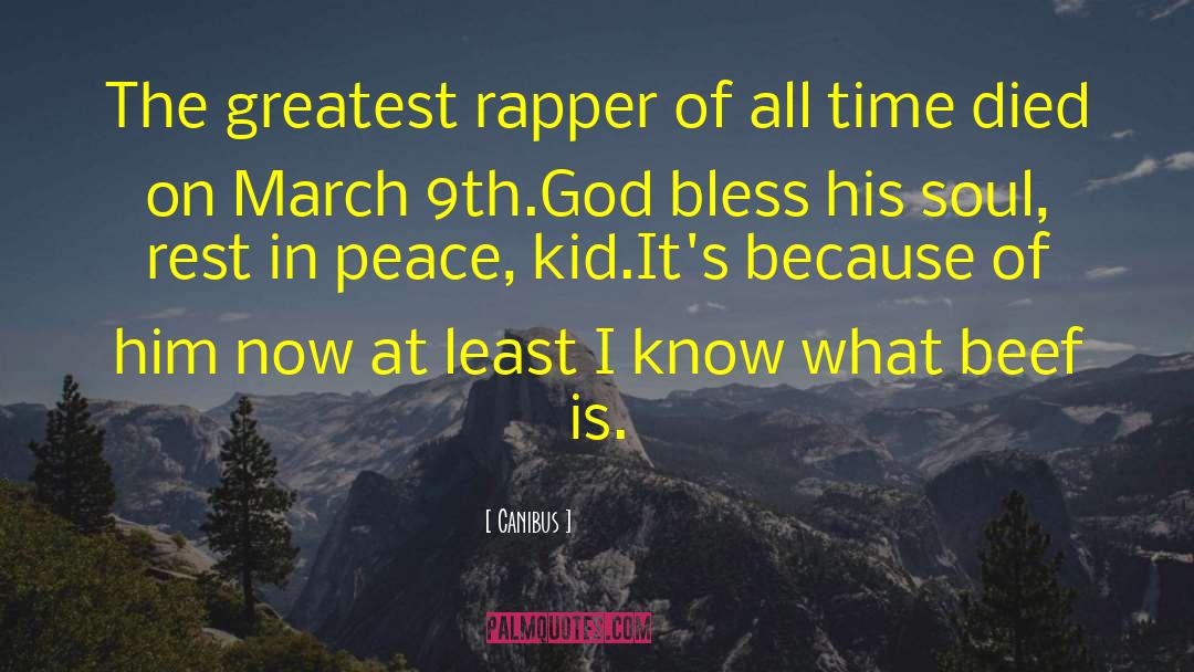 Beef quotes by Canibus