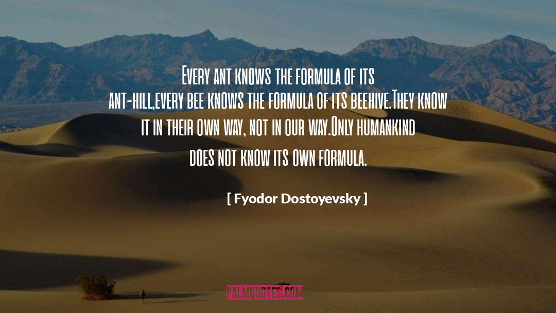 Beehive quotes by Fyodor Dostoyevsky