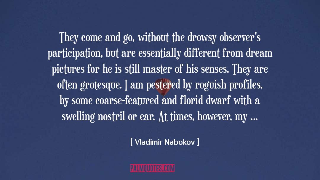 Beehives quotes by Vladimir Nabokov