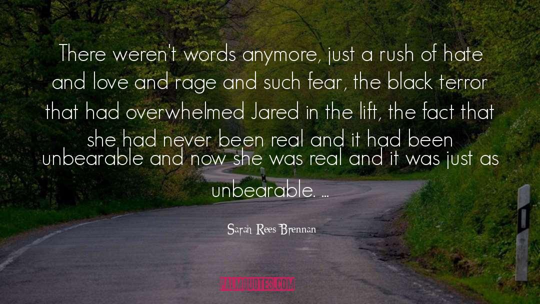 Been Real quotes by Sarah Rees Brennan