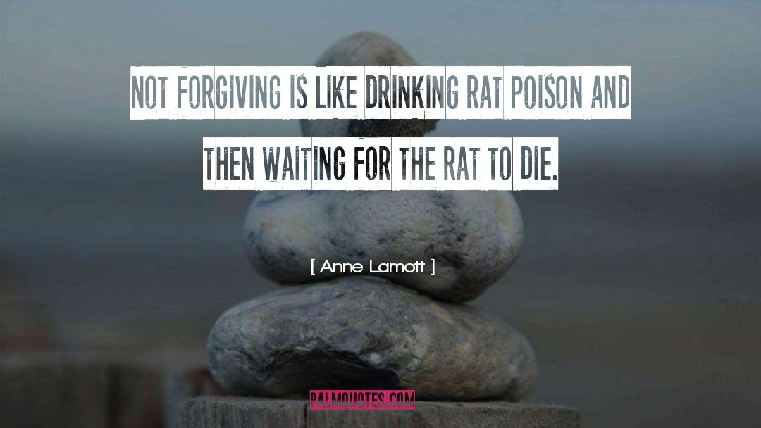 Beer Drinking quotes by Anne Lamott