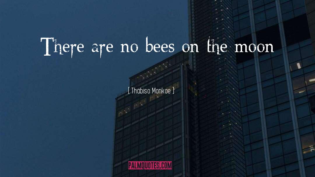 Bees quotes by Thabiso Monkoe