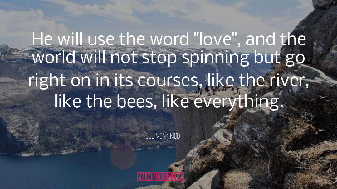 Bees quotes by Sue Monk Kidd