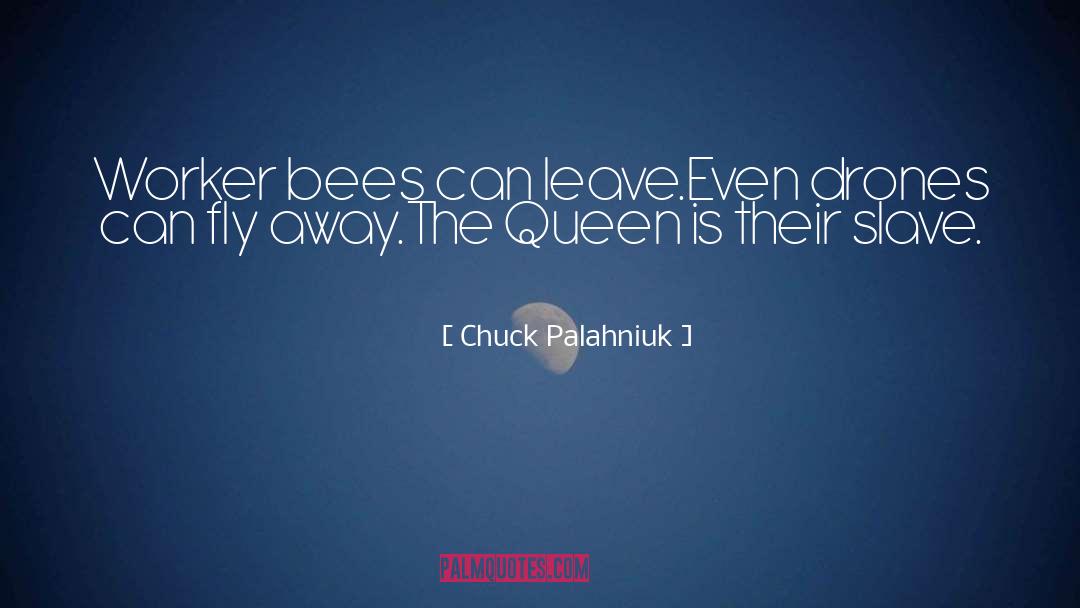 Bees quotes by Chuck Palahniuk
