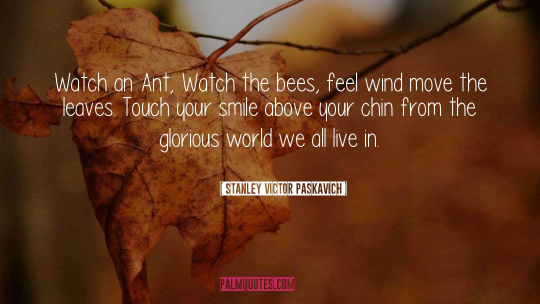 Bees quotes by Stanley Victor Paskavich