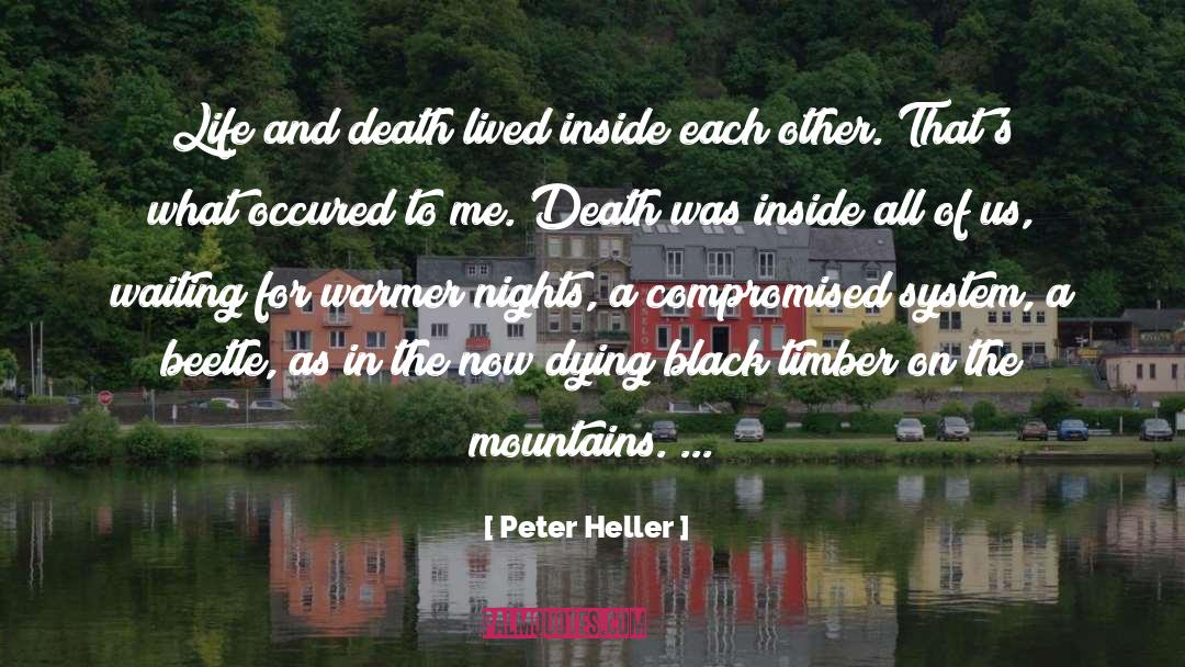 Beetle quotes by Peter Heller
