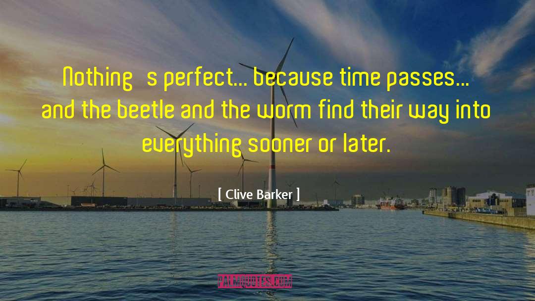 Beetle quotes by Clive Barker