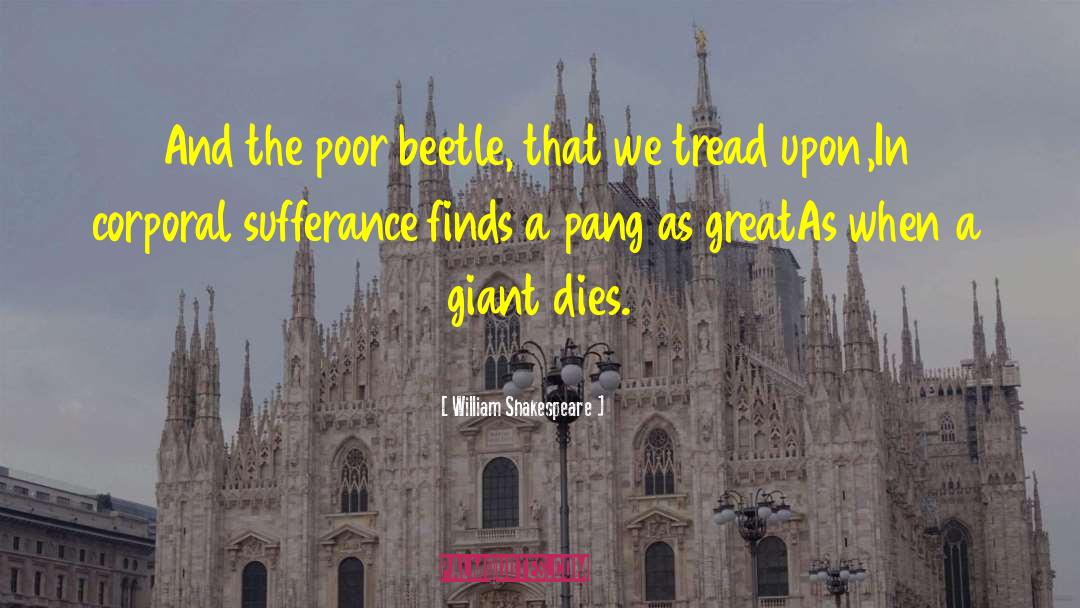 Beetle quotes by William Shakespeare