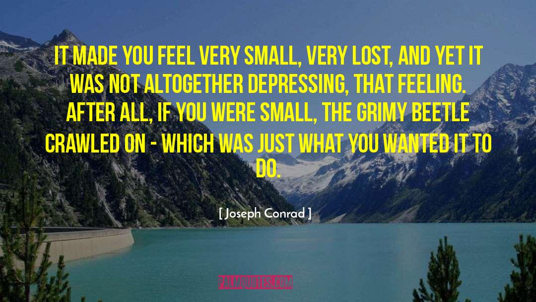 Beetle quotes by Joseph Conrad