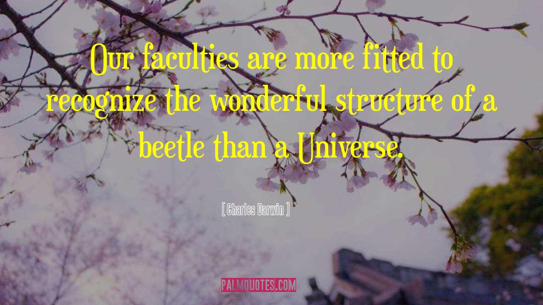 Beetle quotes by Charles Darwin