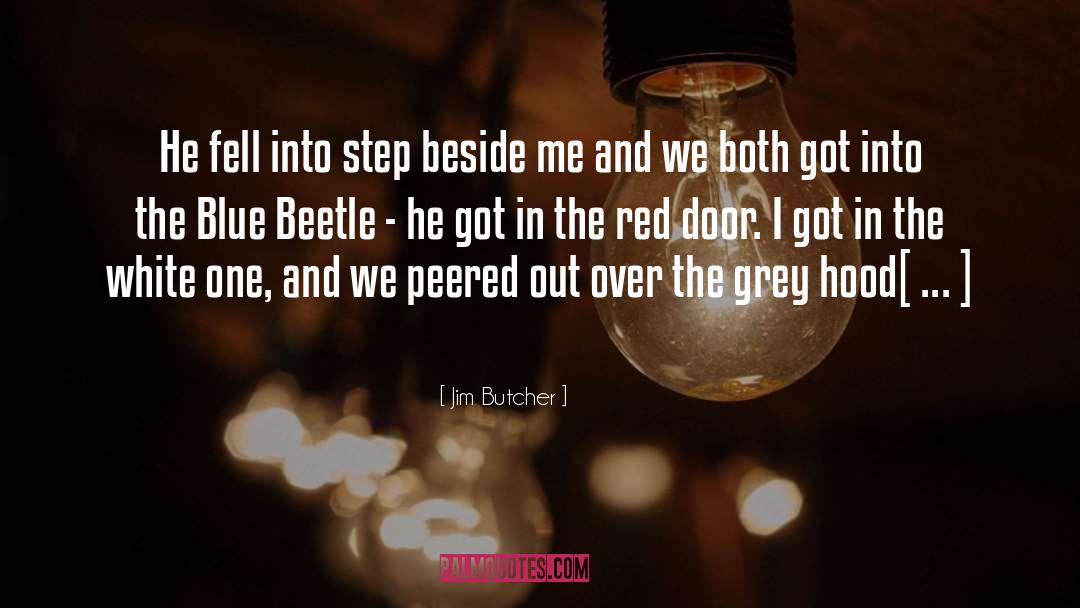 Beetle quotes by Jim Butcher