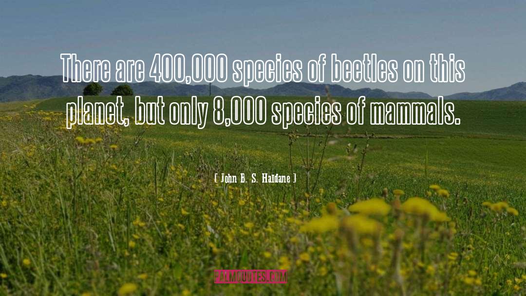 Beetles quotes by John B. S. Haldane