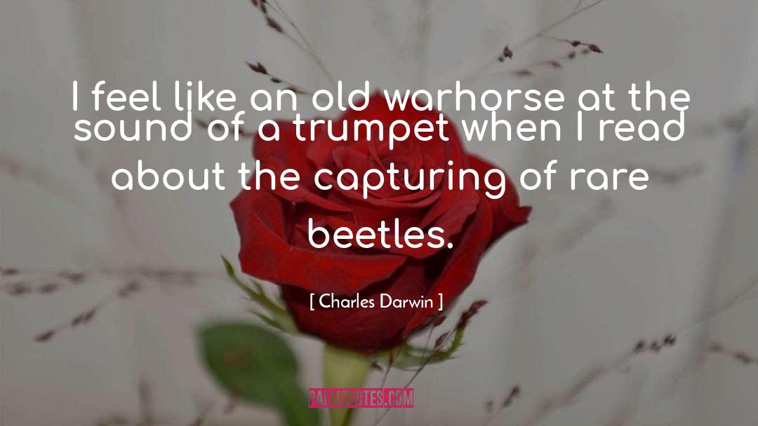 Beetles quotes by Charles Darwin