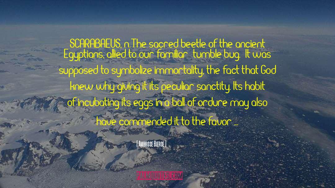 Beetles quotes by Ambrose Bierce