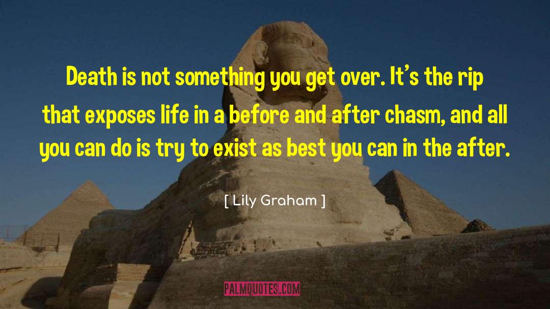 Before And After quotes by Lily Graham