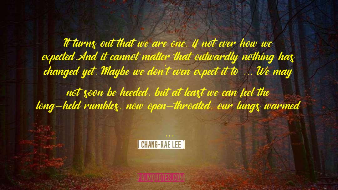 Before And Now quotes by Chang-rae Lee