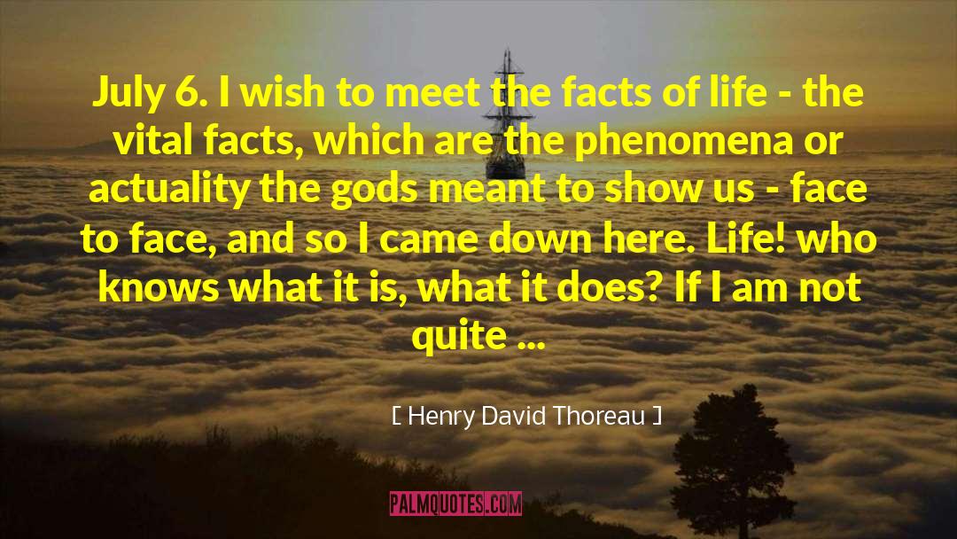 Before And Now quotes by Henry David Thoreau