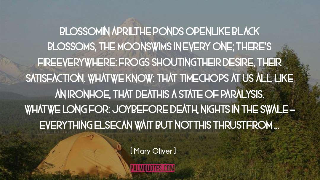 Before Death quotes by Mary Oliver