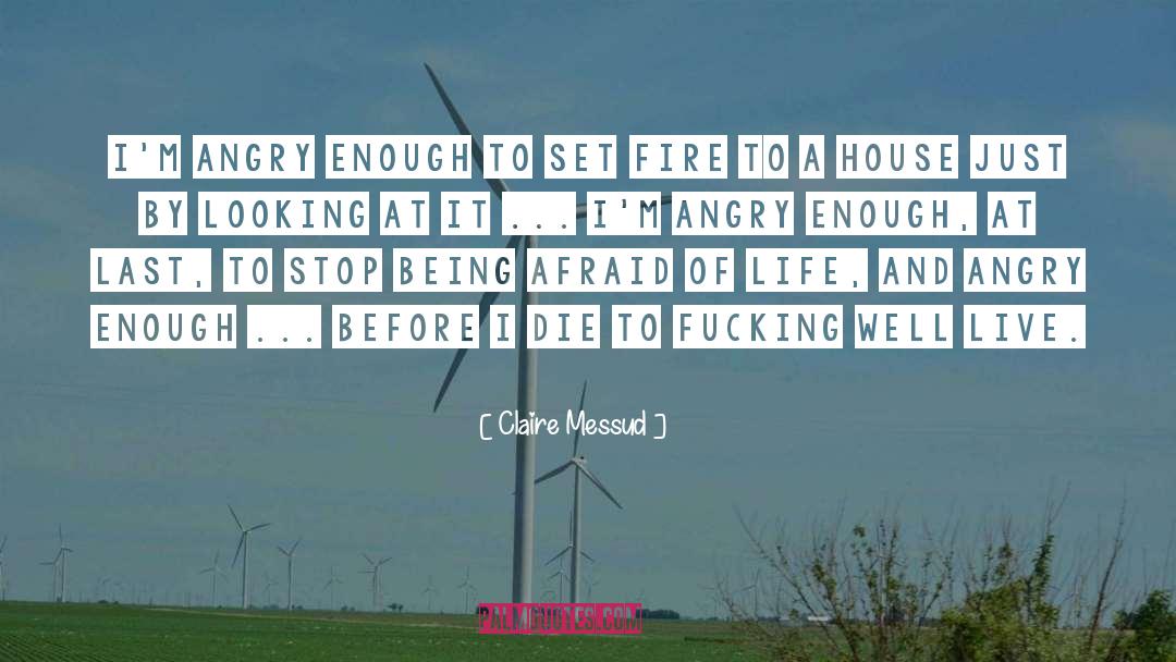 Before I Die quotes by Claire Messud