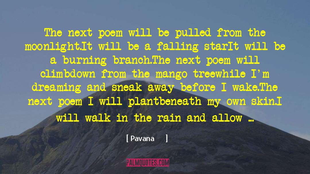 Before I Wake quotes by Pavana पवन