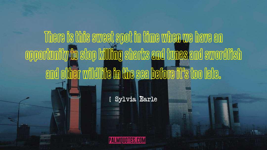 Before Its Too Late quotes by Sylvia Earle