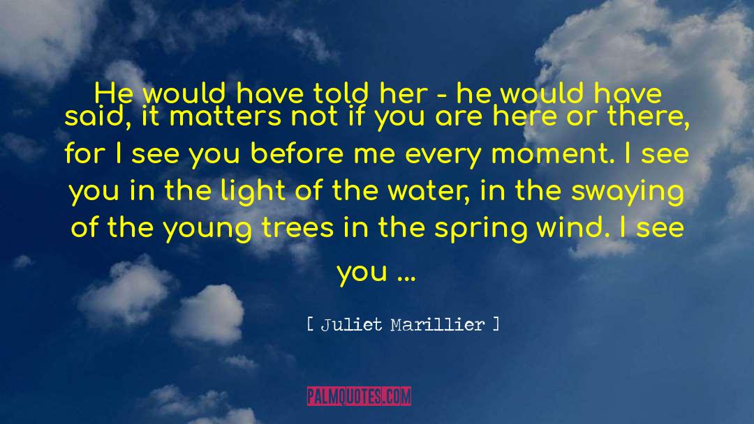 Before Sleeping quotes by Juliet Marillier