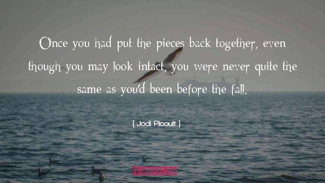 Before The Fall quotes by Jodi Picoult
