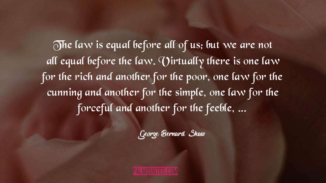 Before The Law quotes by George Bernard Shaw