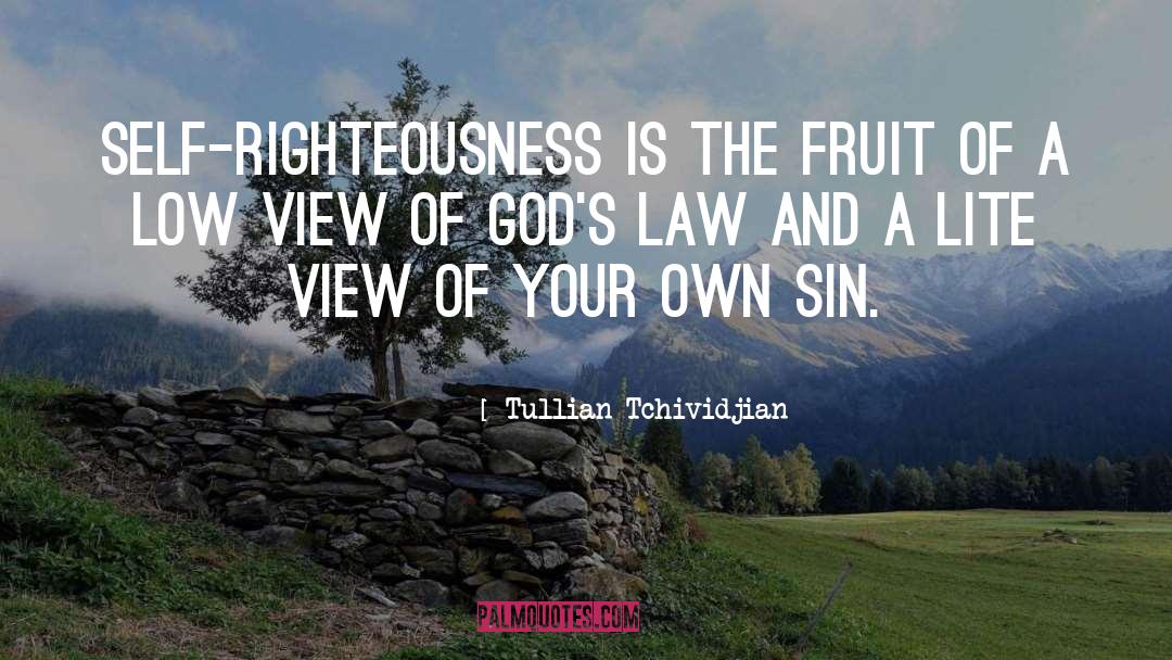 Before The Law quotes by Tullian Tchividjian