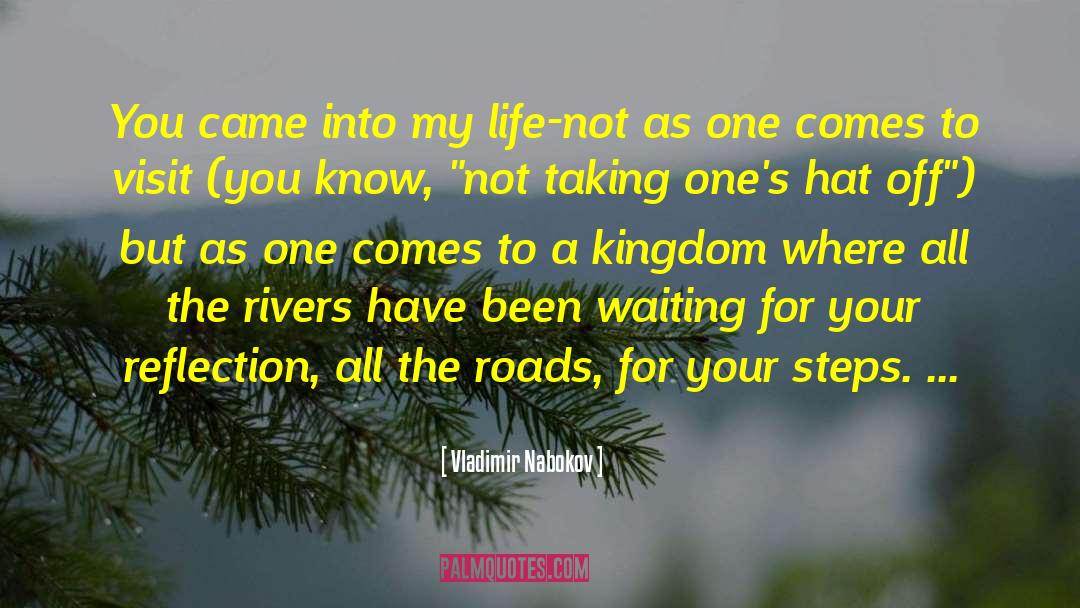 Before You Came Into My Life quotes by Vladimir Nabokov